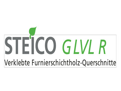 STEICO GLVL R Bild 2