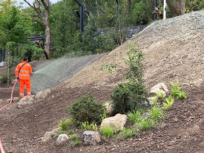 Nassansaat auf Oberboden / zwei Arbeitsg&auml;nge Bild 2