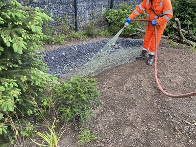 Nassansaat auf Rohboden / zwei Arbeitsg&auml;nge Bild 3