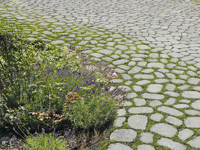 Silidur-Pavés Arena® photo 2