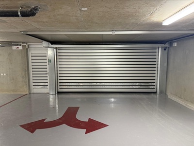 Garagentor EFA-SST® -L