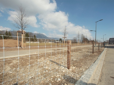 Wyss Metallz&auml;une Bild 3