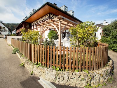 Wyss Holzz&auml;une Bild 4