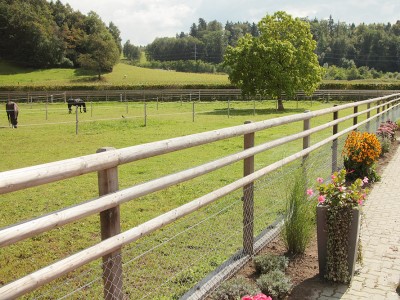 Wyss Holzz&auml;une Bild 5