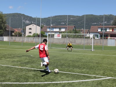 Wyss Ballfangz&auml;une Bild 3