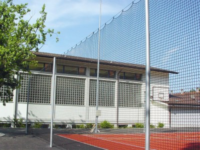 Wyss Ballfangz&auml;une Bild 5