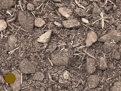 VIRIdiVITA substrate photo 2