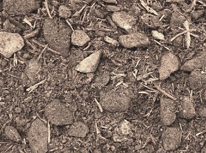 VIRIdiVITA substrate photo 3